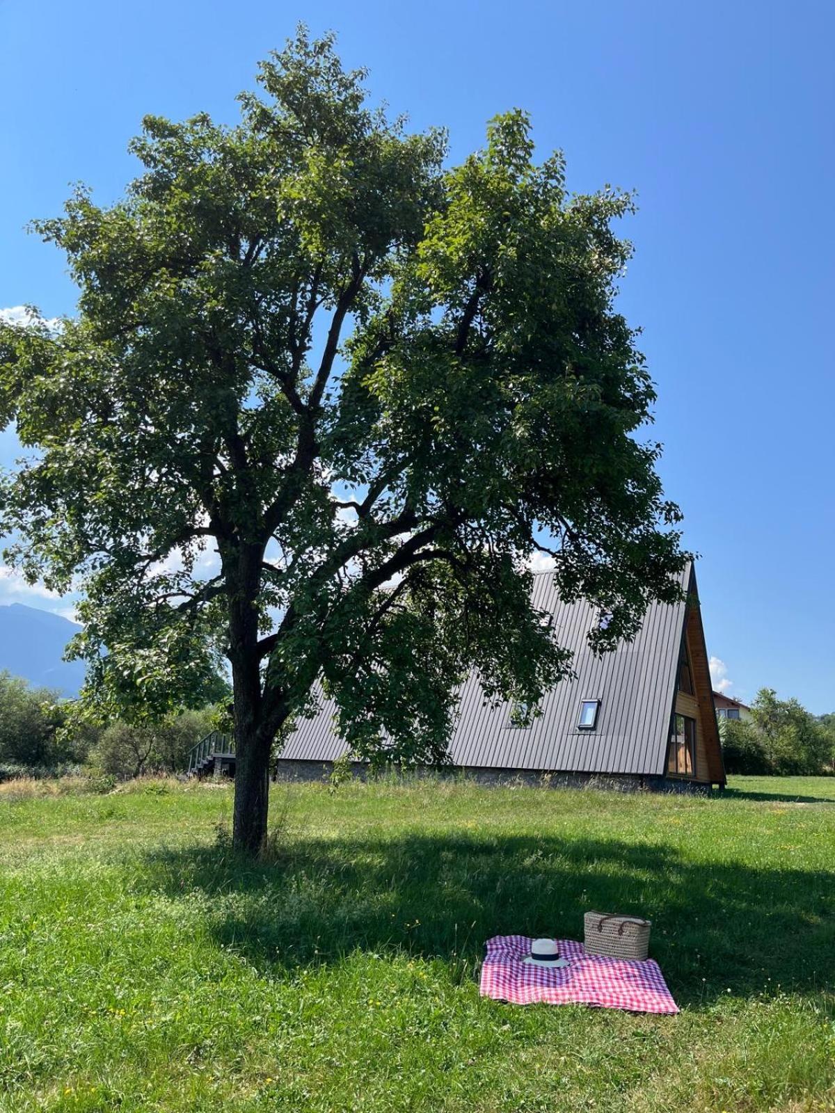 Vino Chalets Bran Sohodol  Esterno foto